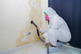 Professional Mold Inspection in Citronelle, AL